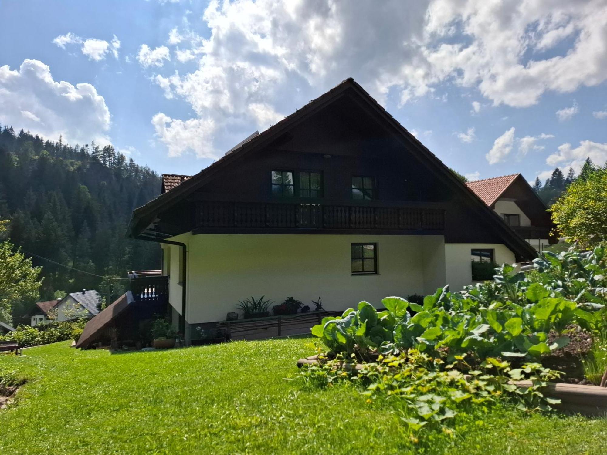 Apartma Cvrsta Trojka Jesenice Exterior foto